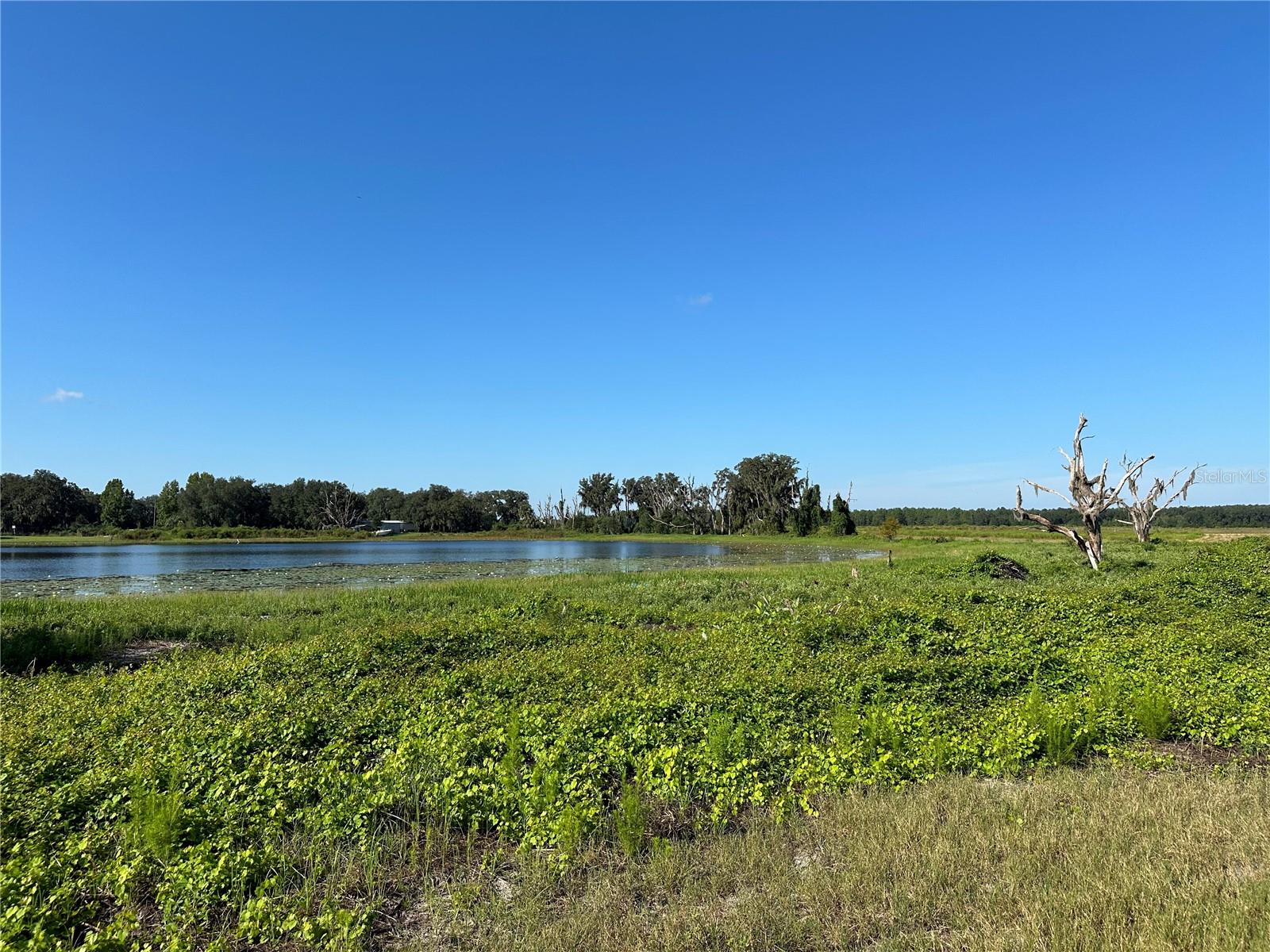 Image 4 of 6 For Lot 4 - 12.38ac Hwy 318