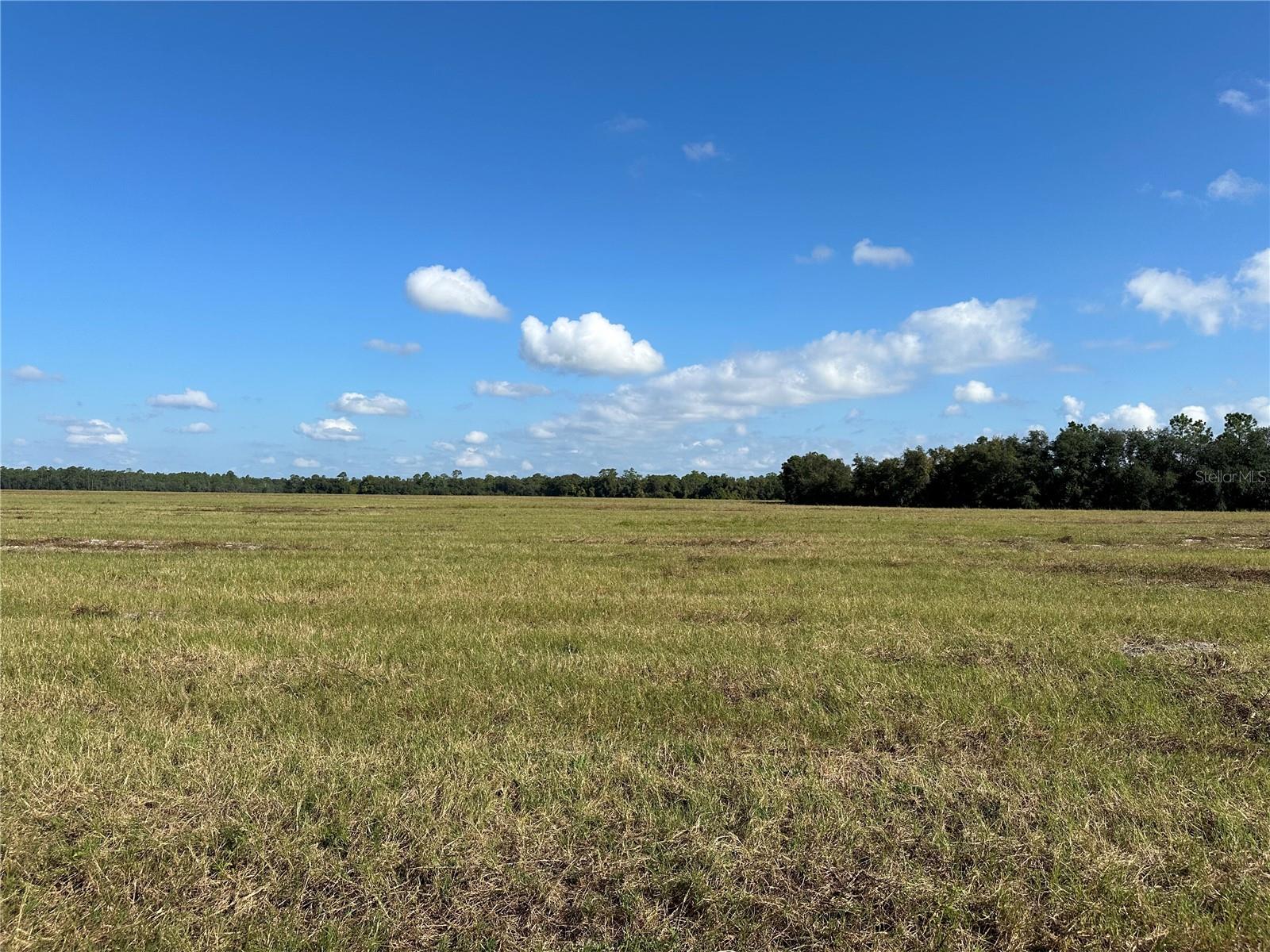 Image 5 of 6 For Lot 4 - 12.38ac Hwy 318