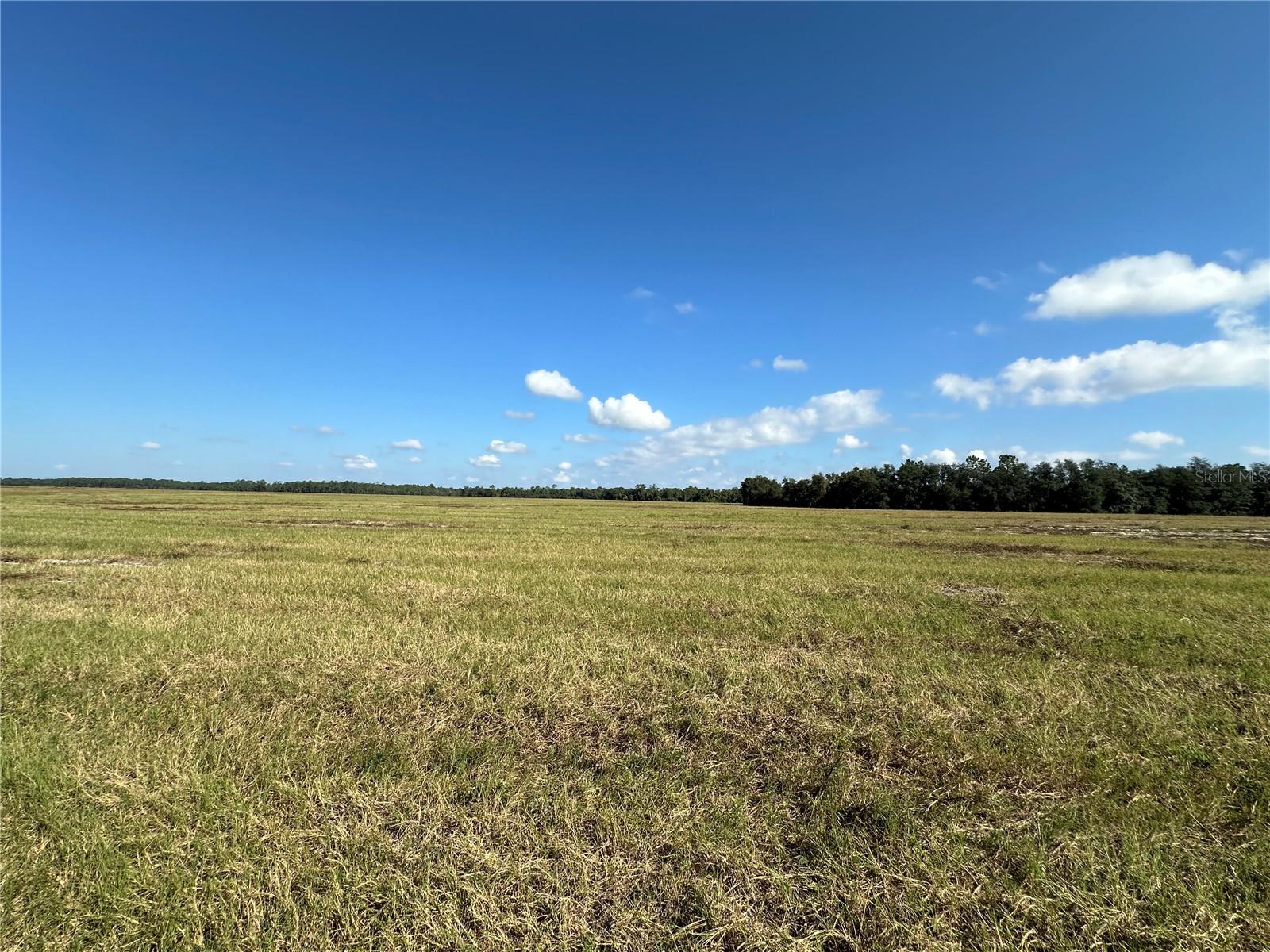 Image 6 of 6 For Lot 4 - 12.38ac Hwy 318