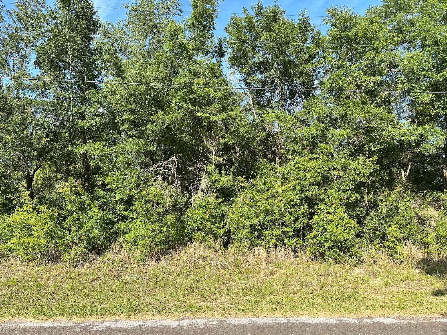 Image 2 of 2 For 10713 Adler Drive