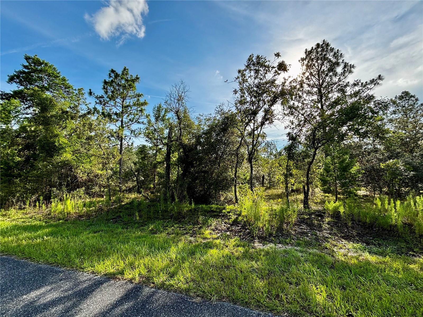 Details for Lot 24 136 Terrace, DUNNELLON, FL 34431