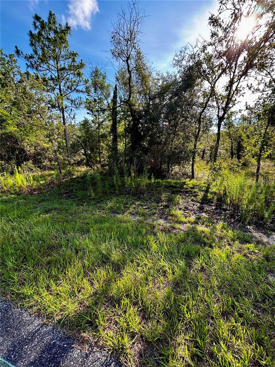 Listing photo id 0 for Lot 24 136 Terrace