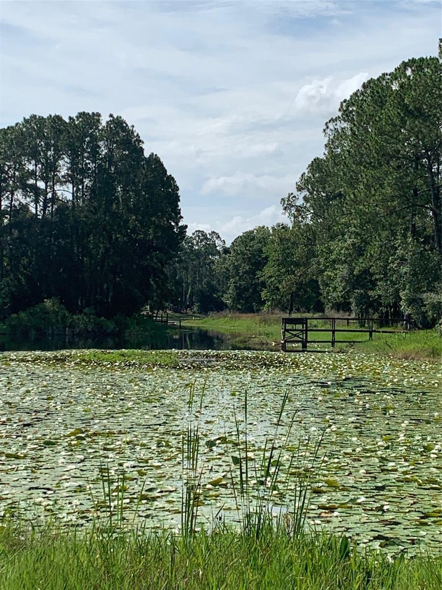 Image 30 of 54 For 3544 Withlacoochee Trail