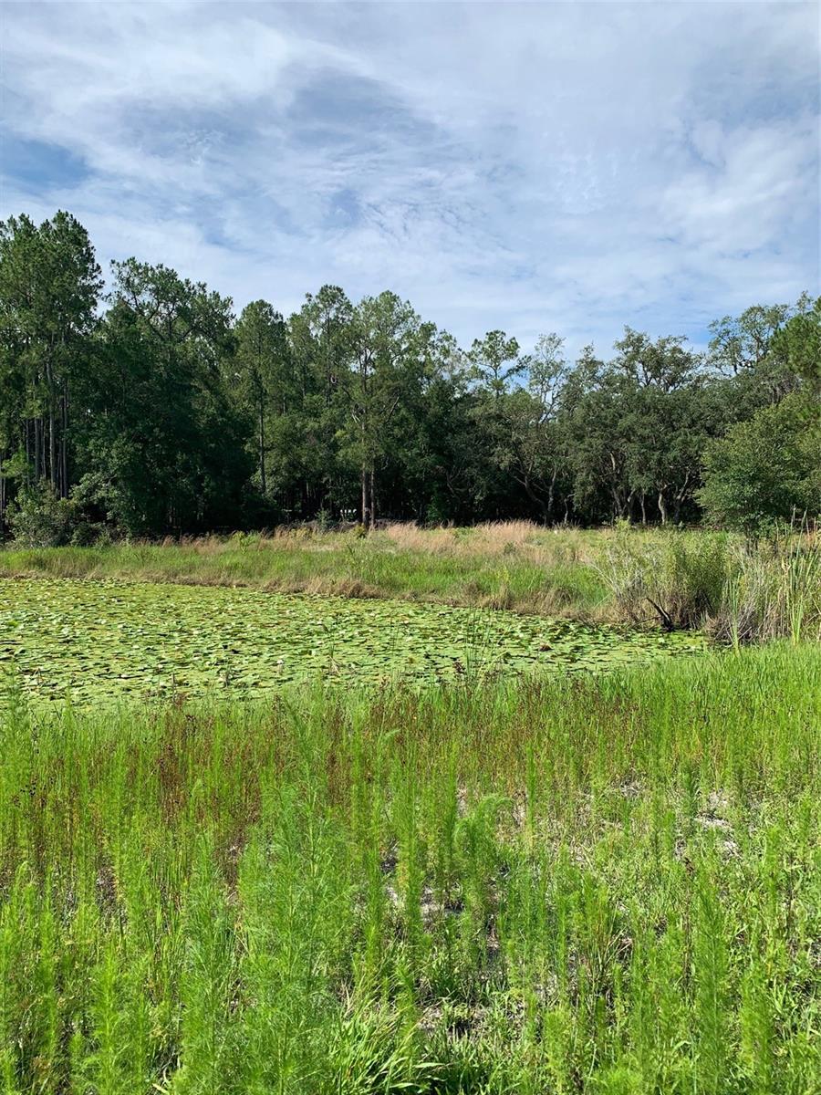 Image 31 of 54 For 3544 Withlacoochee Trail
