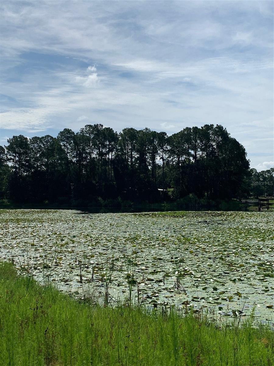 Image 32 of 54 For 3544 Withlacoochee Trail