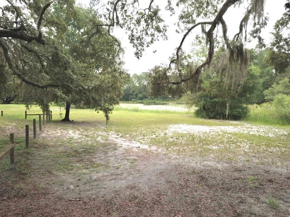 Image 39 of 54 For 3544 Withlacoochee Trail