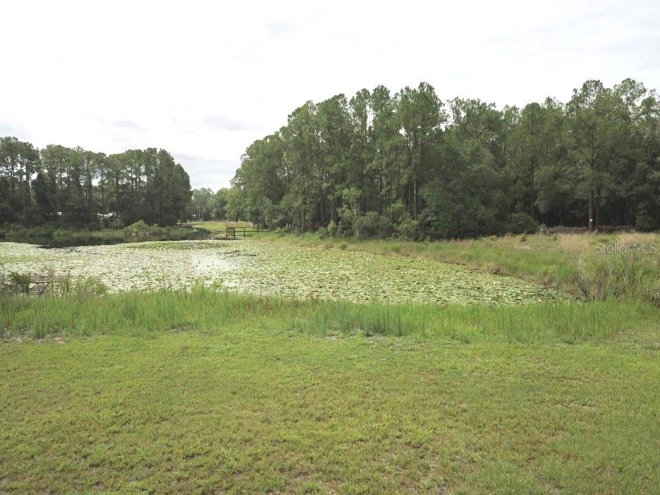 Image 40 of 54 For 3544 Withlacoochee Trail