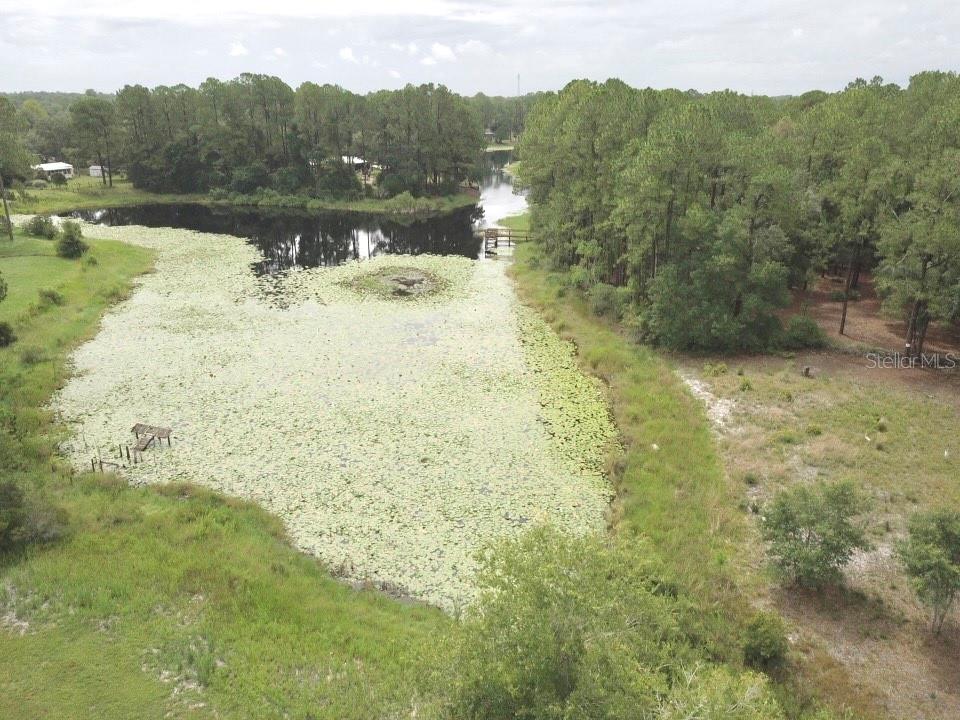 Image 41 of 54 For 3544 Withlacoochee Trail