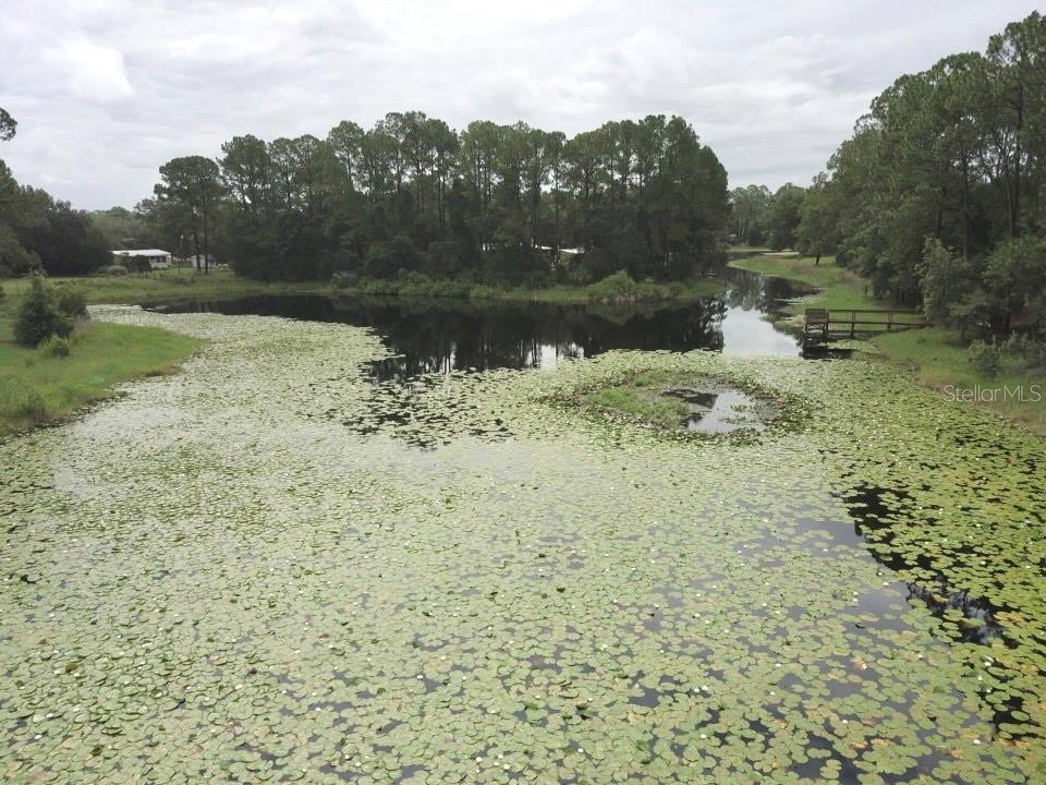 Image 42 of 54 For 3544 Withlacoochee Trail