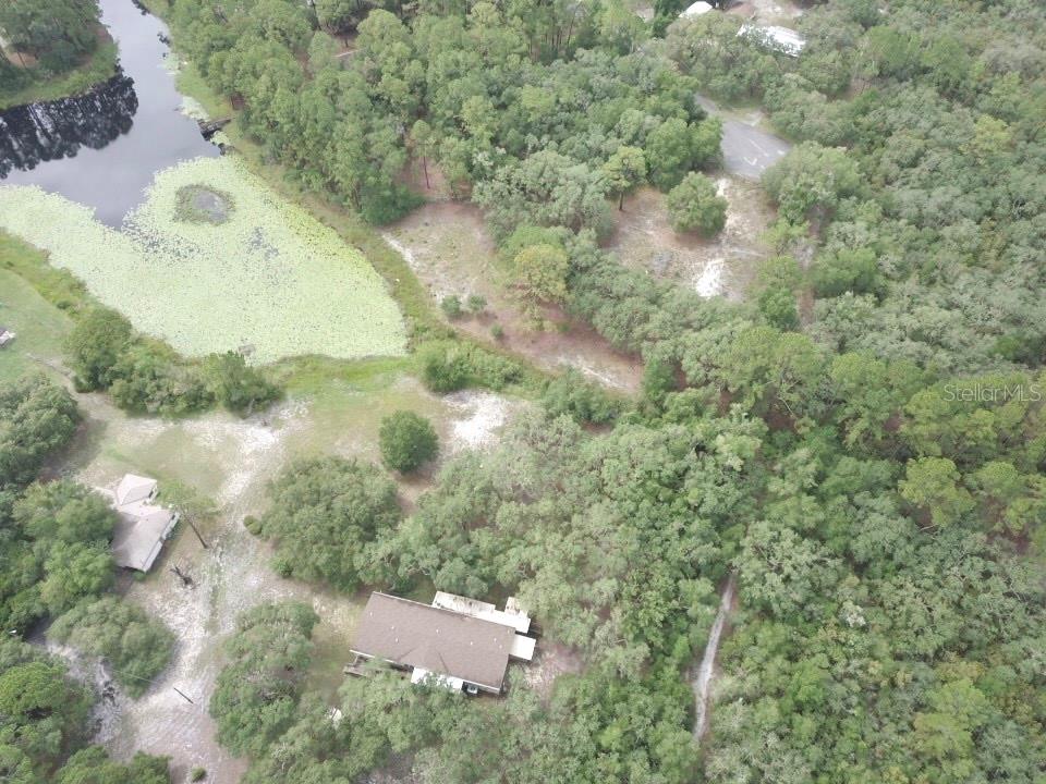 Image 43 of 54 For 3544 Withlacoochee Trail