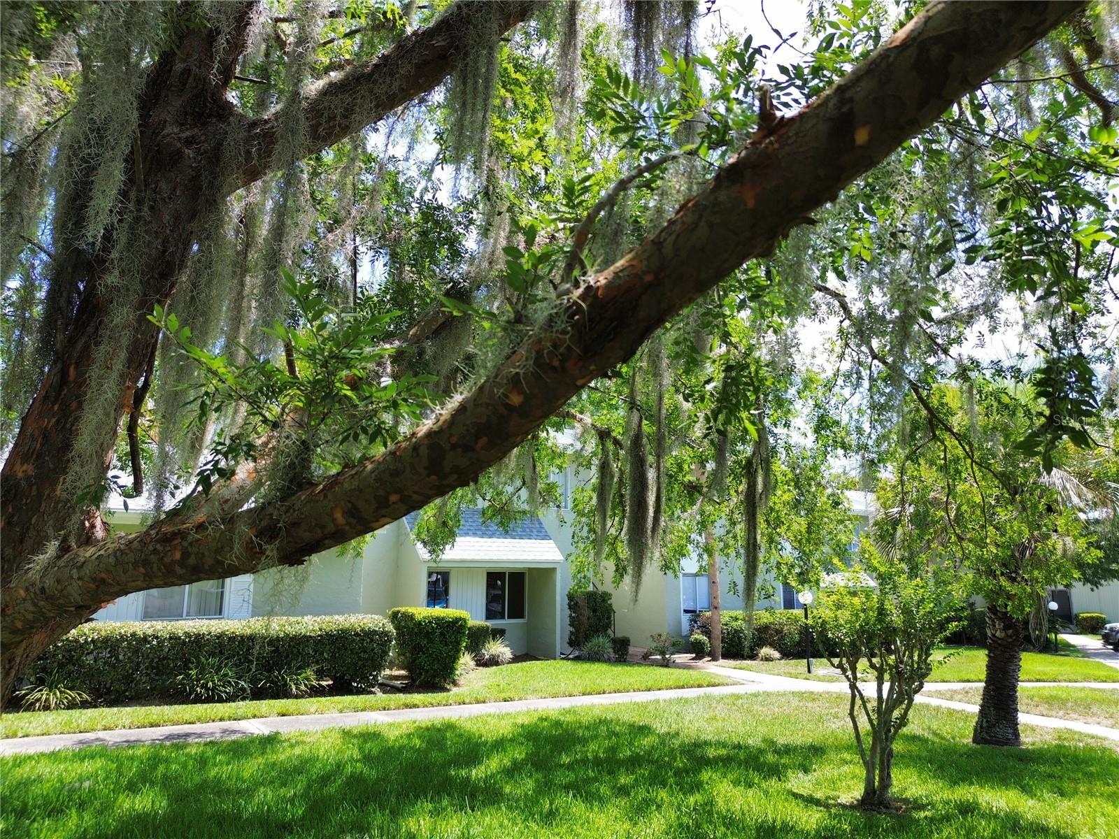 Image 19 of 20 For 564 Bahia Circle A
