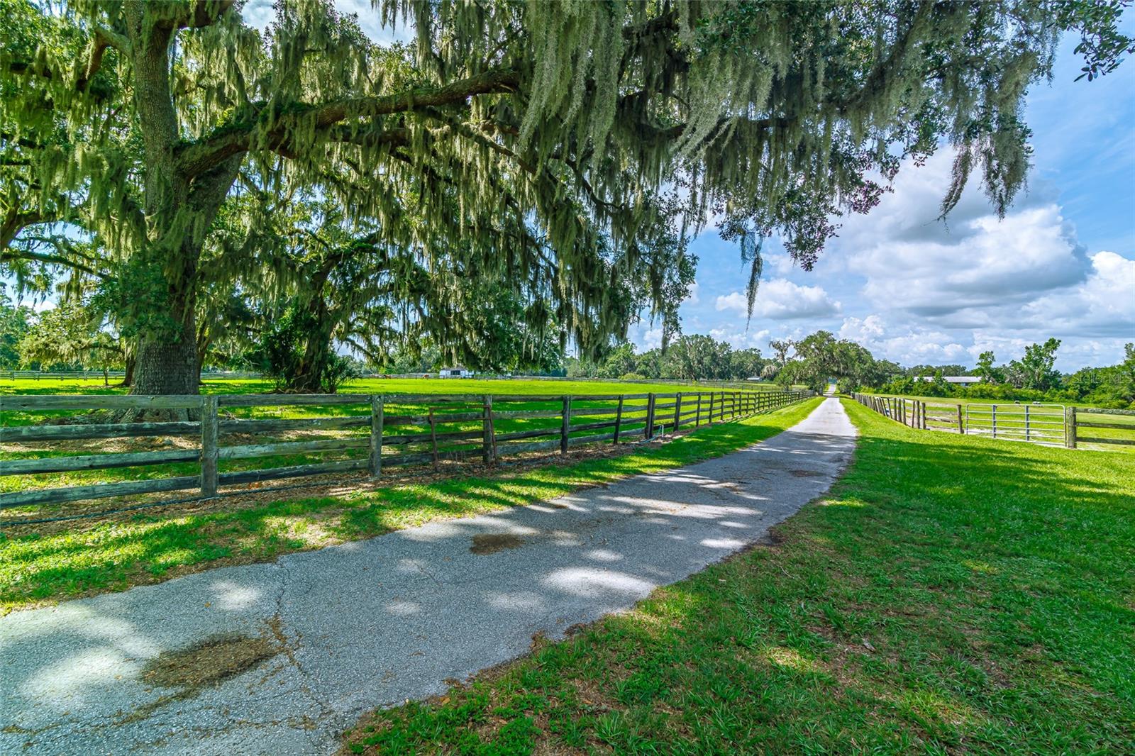 Image 10 of 80 For 15795 86th Avenue