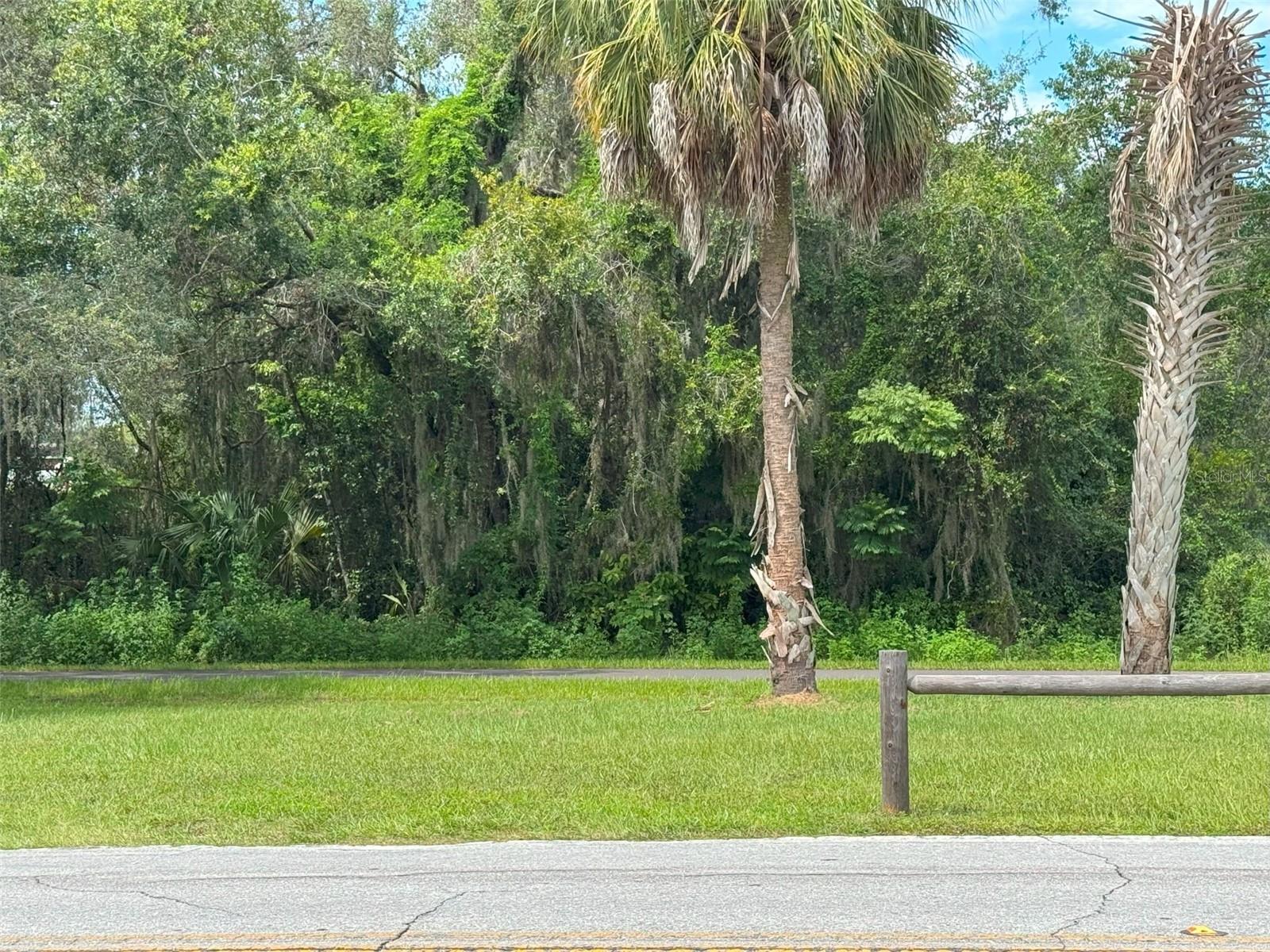 Listing photo id 22 for 804 Old Floral City Road