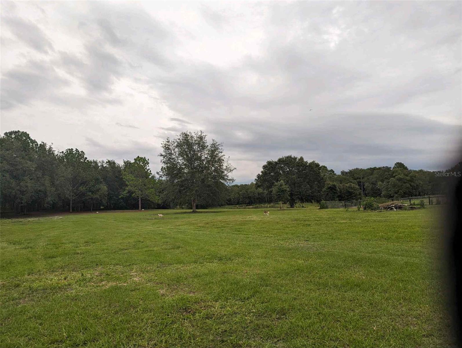 Listing photo id 13 for 11151 30th Street