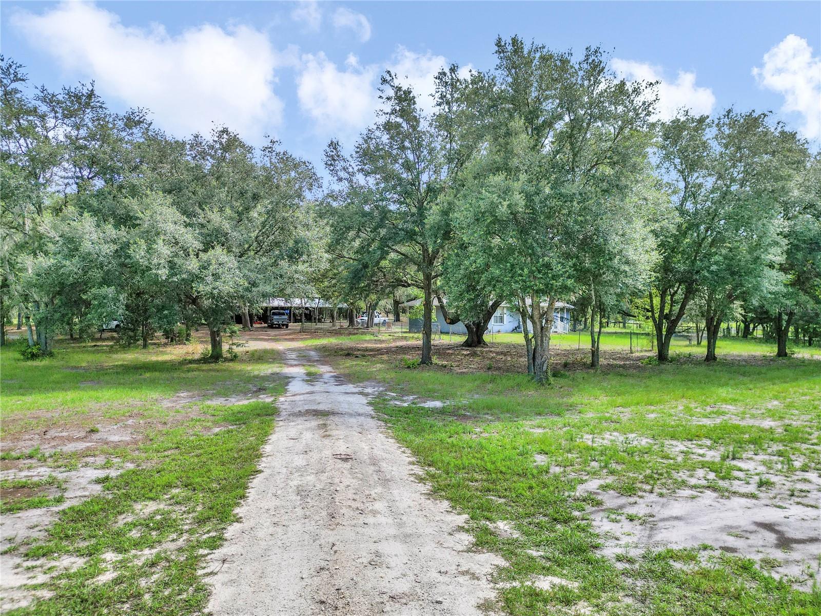 Listing photo id 44 for 11151 30th Street