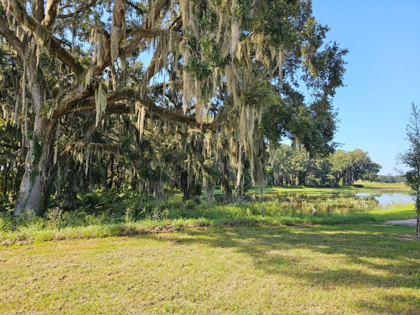 Listing photo id 24 for 8569 Pinecrest Trail