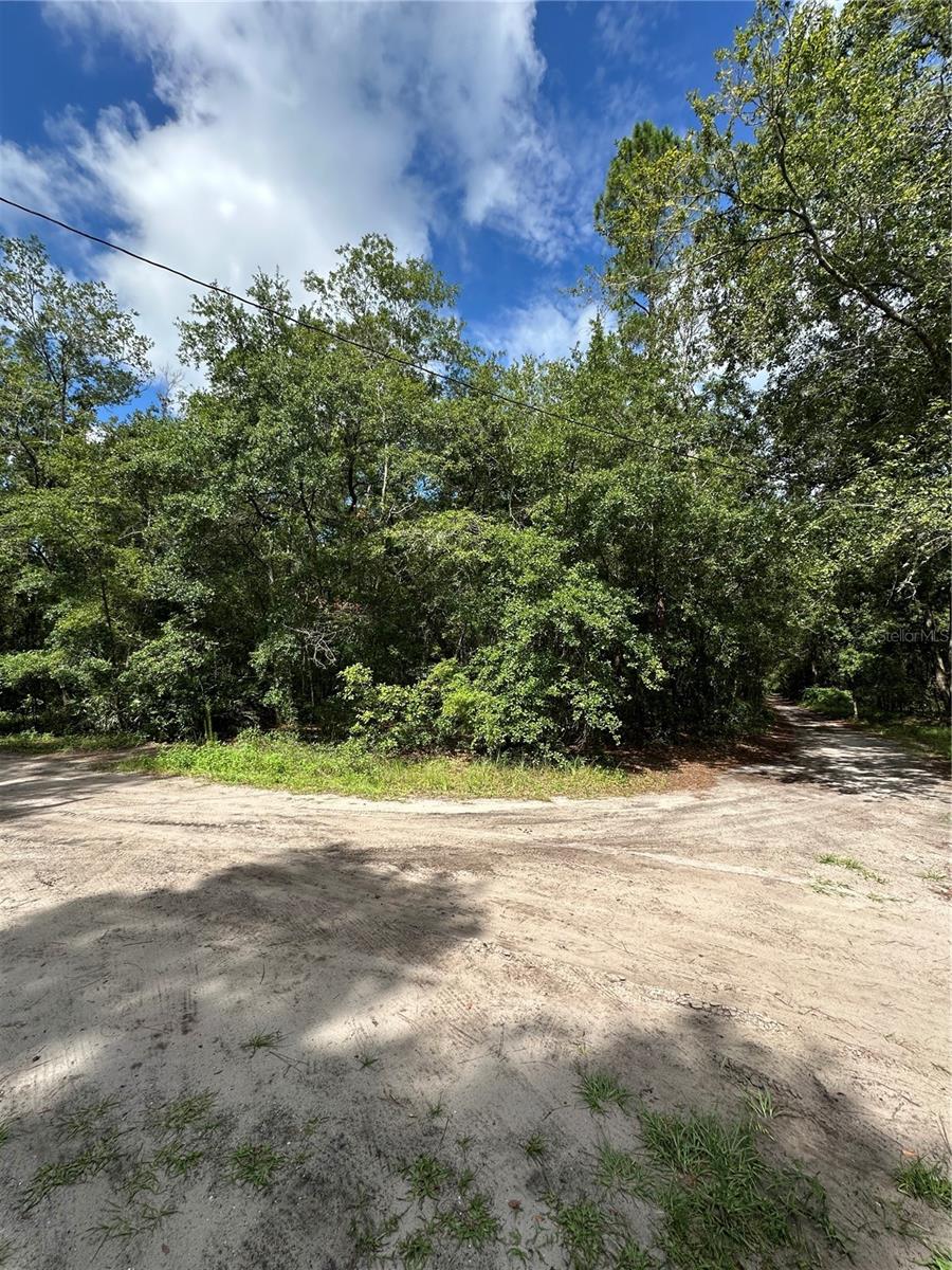 Details for Tbd 225th Place, FORT MC COY, FL 32134