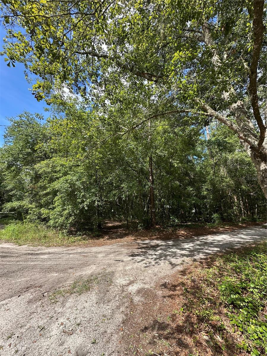 Image 4 of 6 For Tbd 225th Place