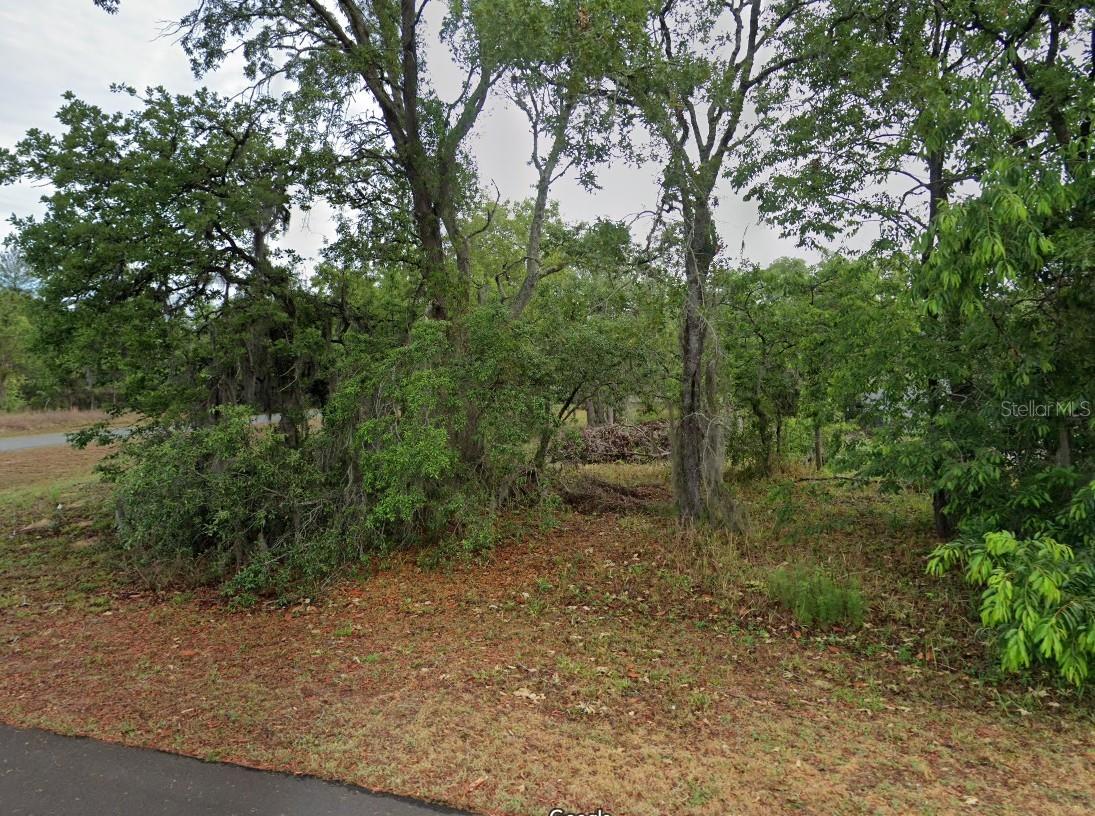 Listing Details for 1 Woodash Court, HOMOSASSA, FL 34446