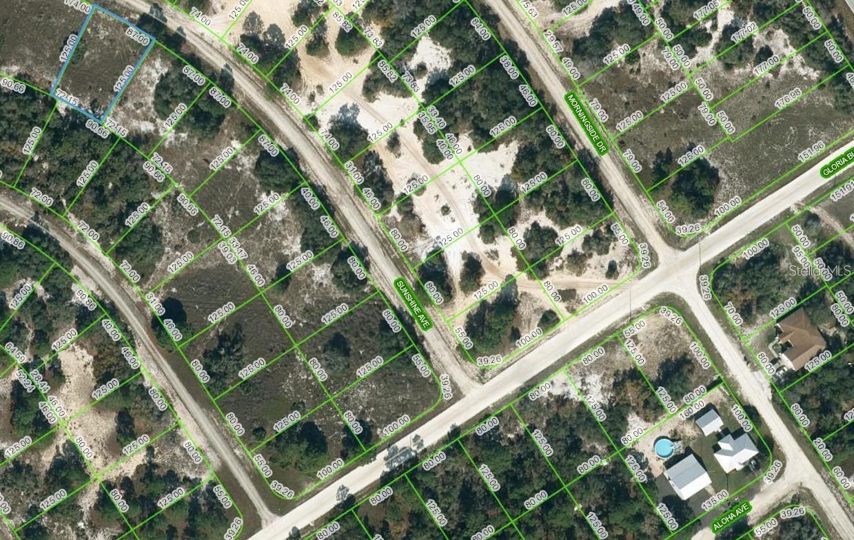 Listing Details for 417 Sunshine Avenue, LAKE PLACID, FL 33852
