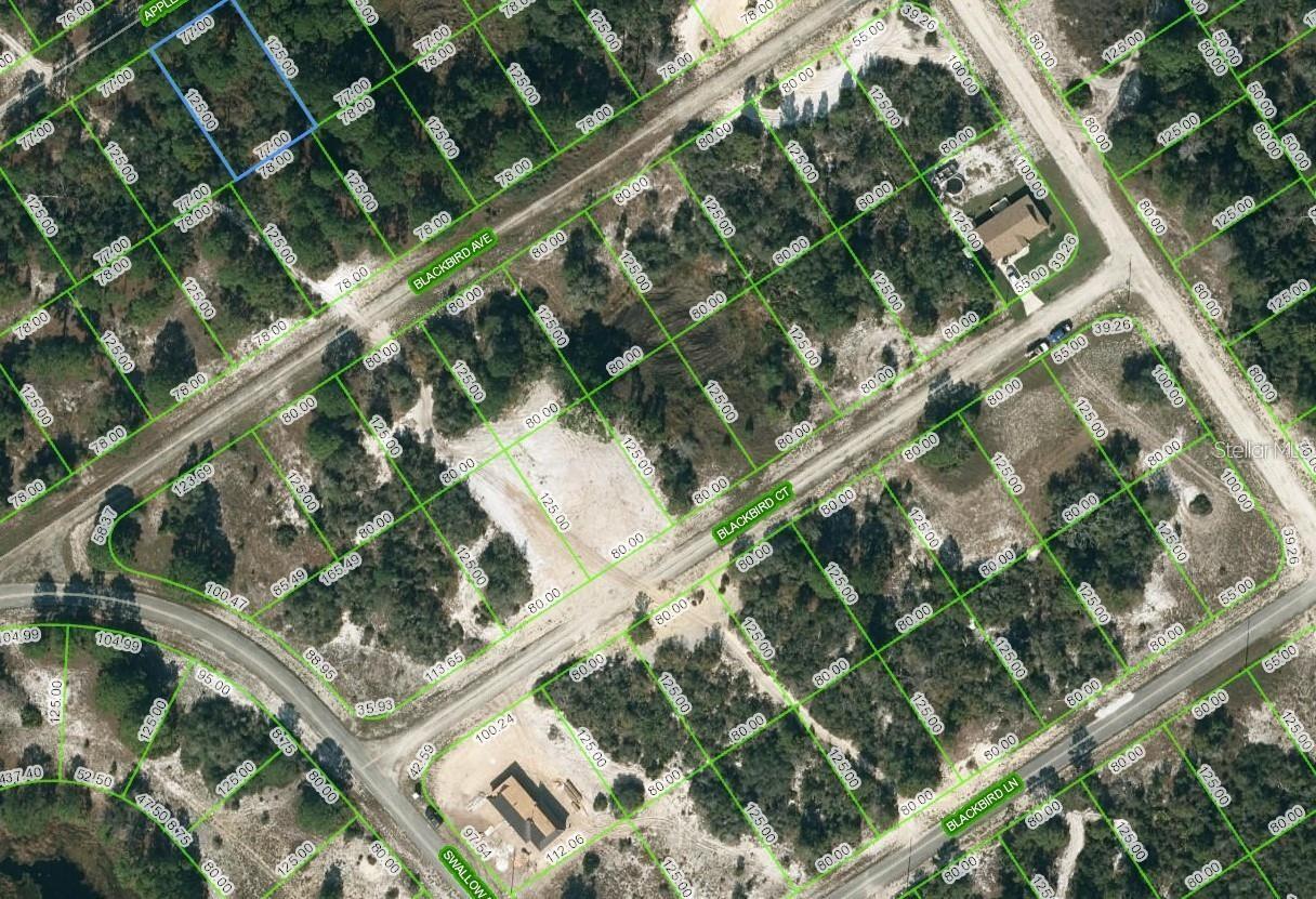 Listing Details for 447 Apple Blossom Court, LAKE PLACID, FL 33852