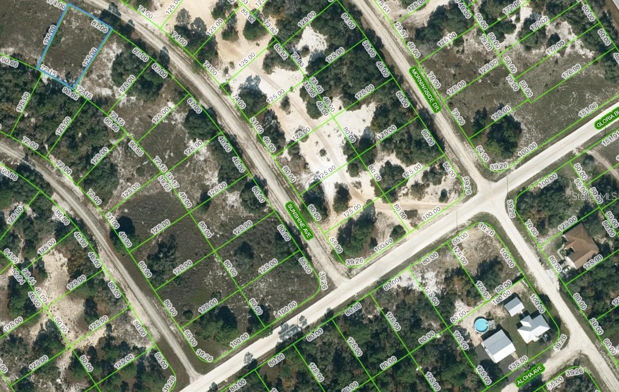Listing Details for 426 Sunshine Avenue, LAKE PLACID, FL 33852
