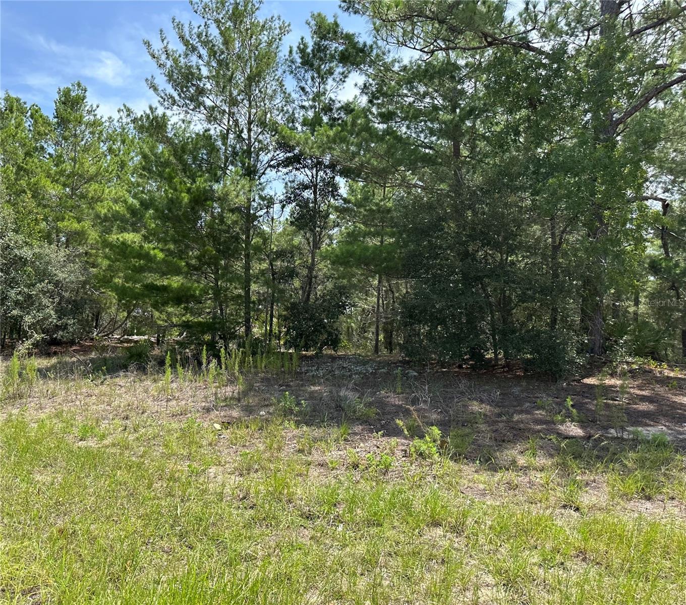Listing photo id 0 for 6202 Mariner Terrace