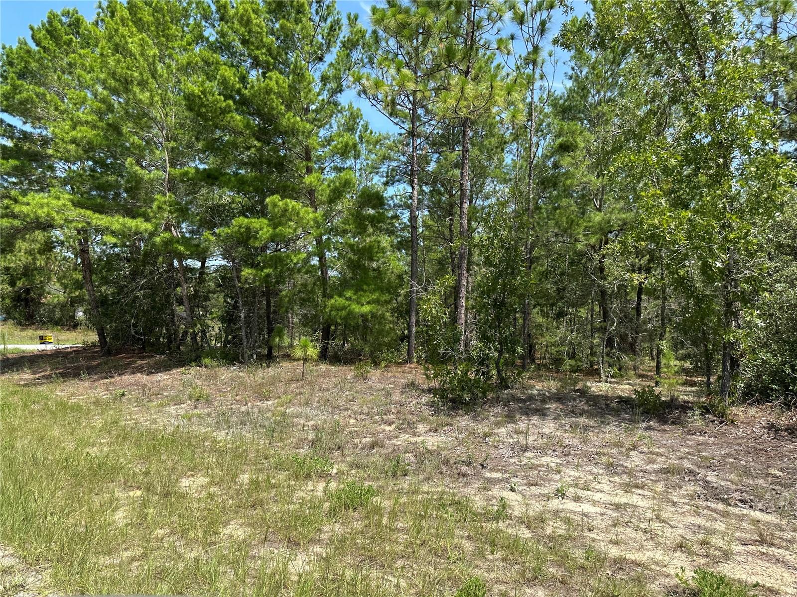 Listing photo id 1 for 6202 Mariner Terrace