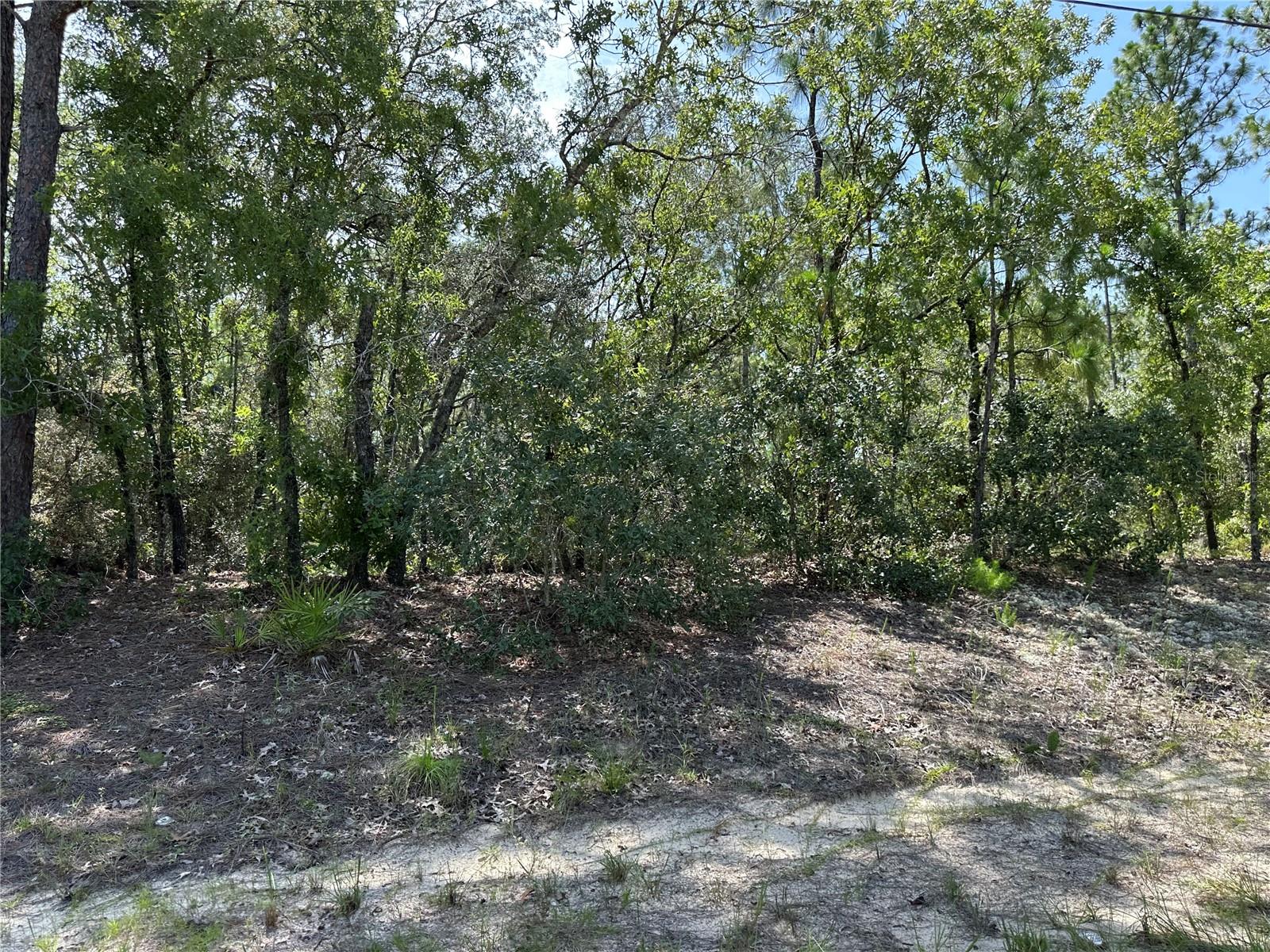 Image 2 of 2 For 8893 Lansen Way