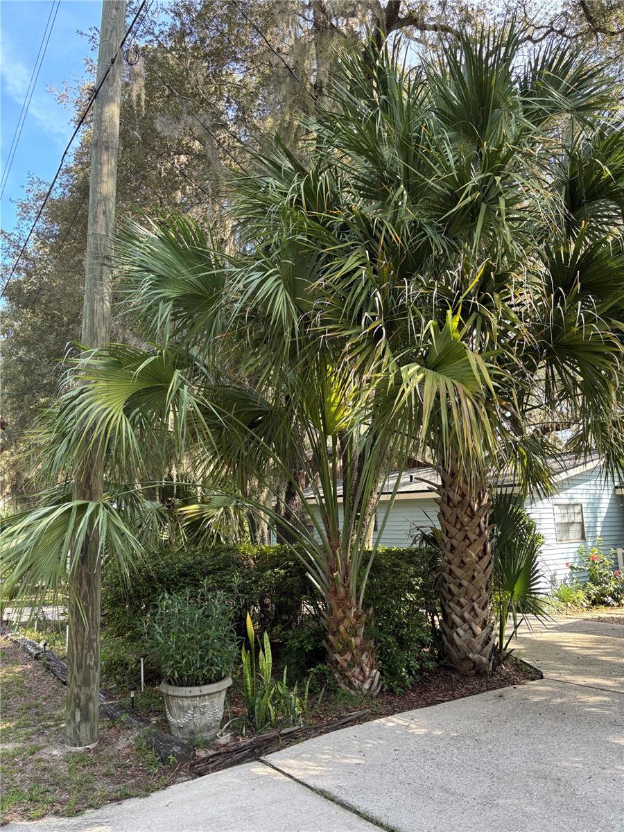 Listing photo id 8 for 16585 57th Place