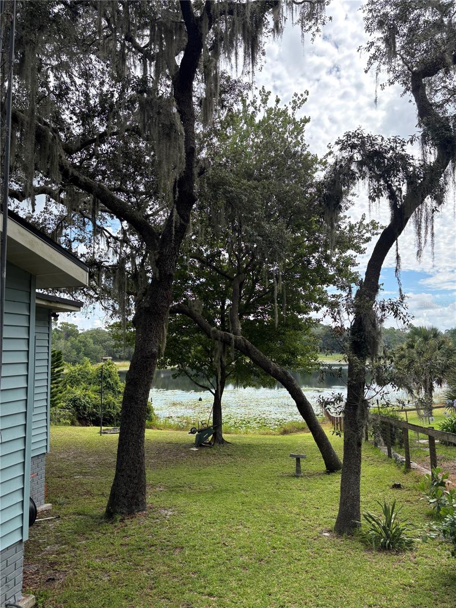 Listing photo id 15 for 16585 57th Place