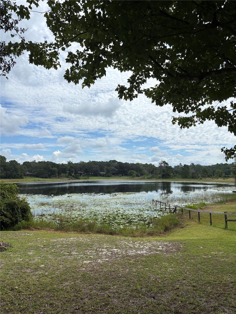 Listing photo id 38 for 16585 57th Place