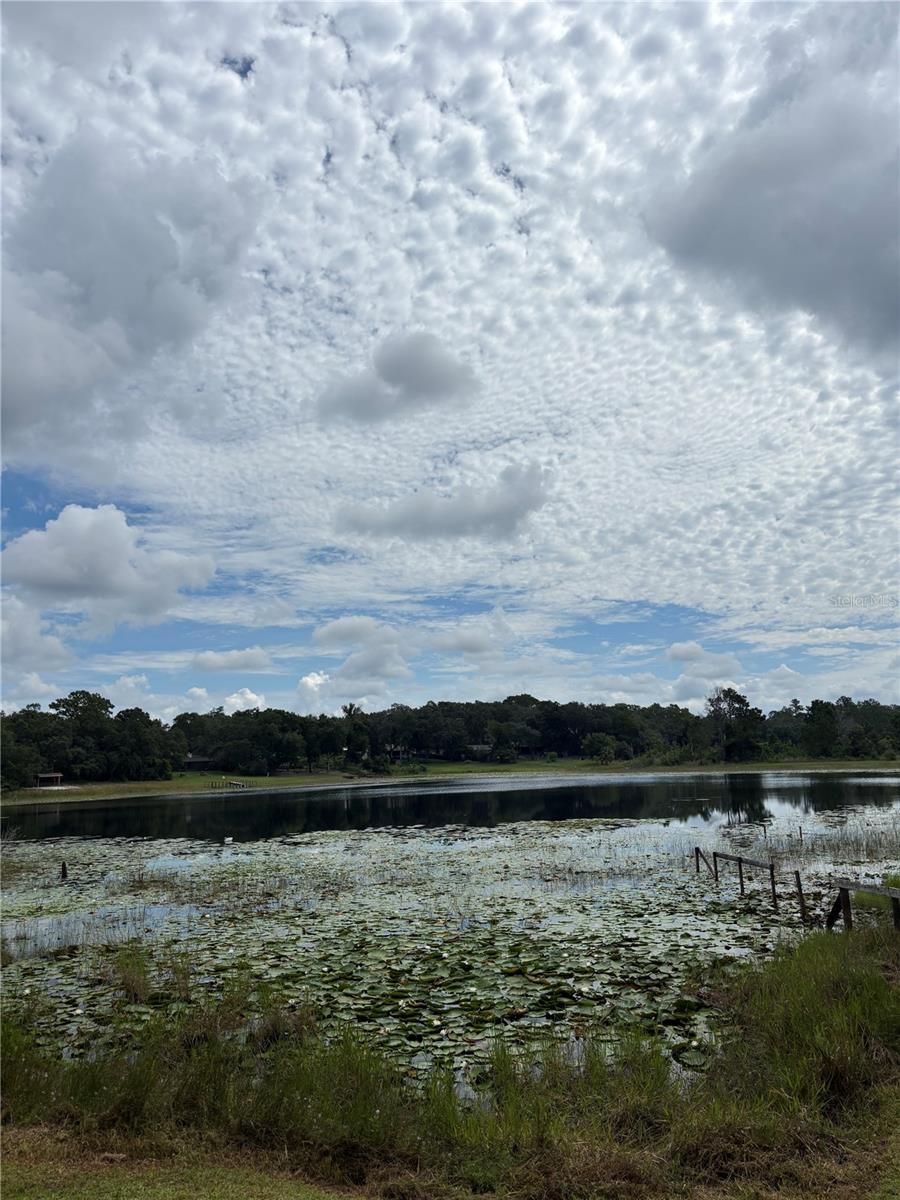 Listing photo id 40 for 16585 57th Place