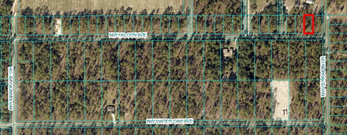 Details for Tbd Falcon Ave, Lot 33, DUNNELLON, FL 34431