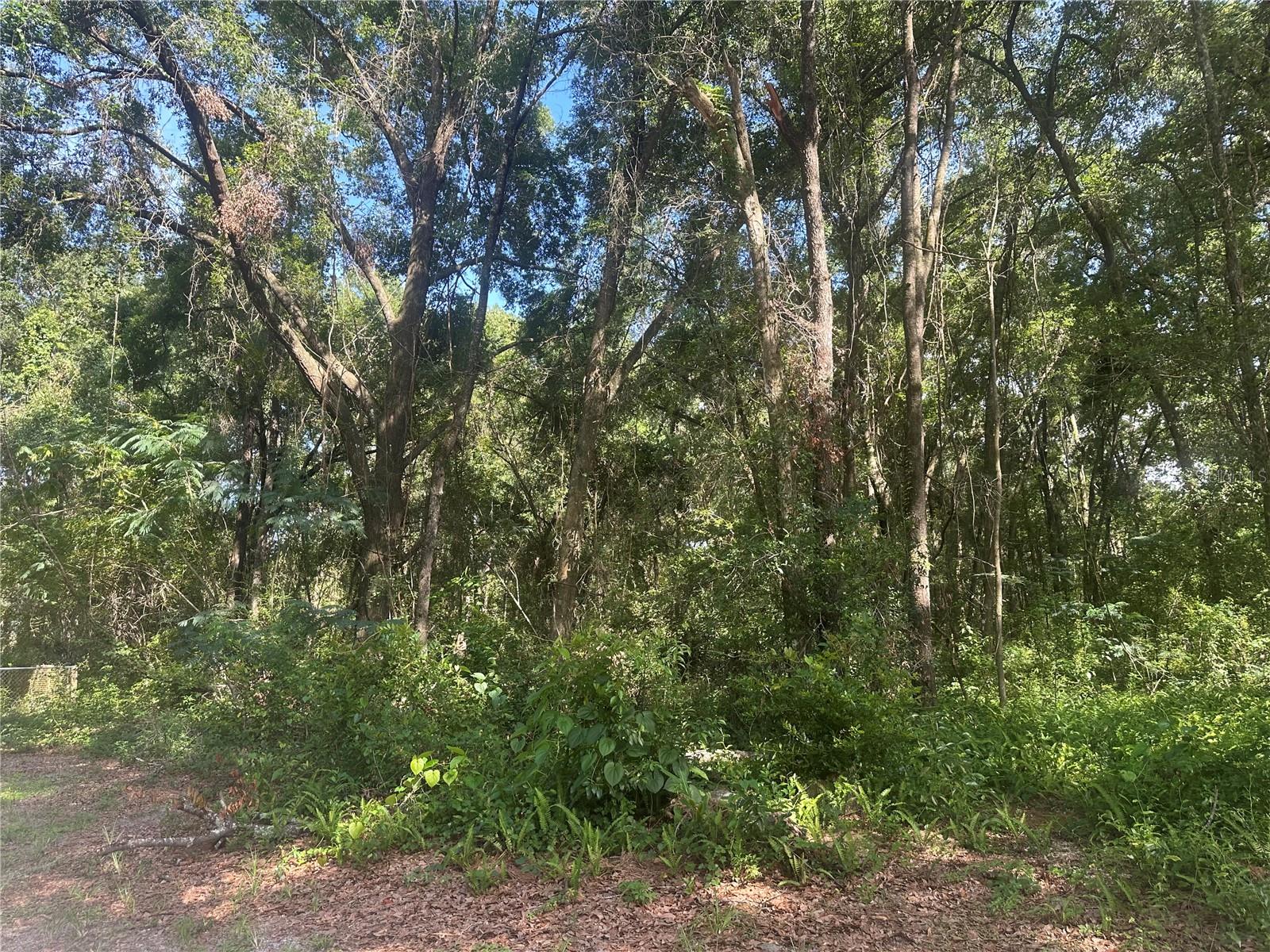 Image 8 of 9 For 0 36th  