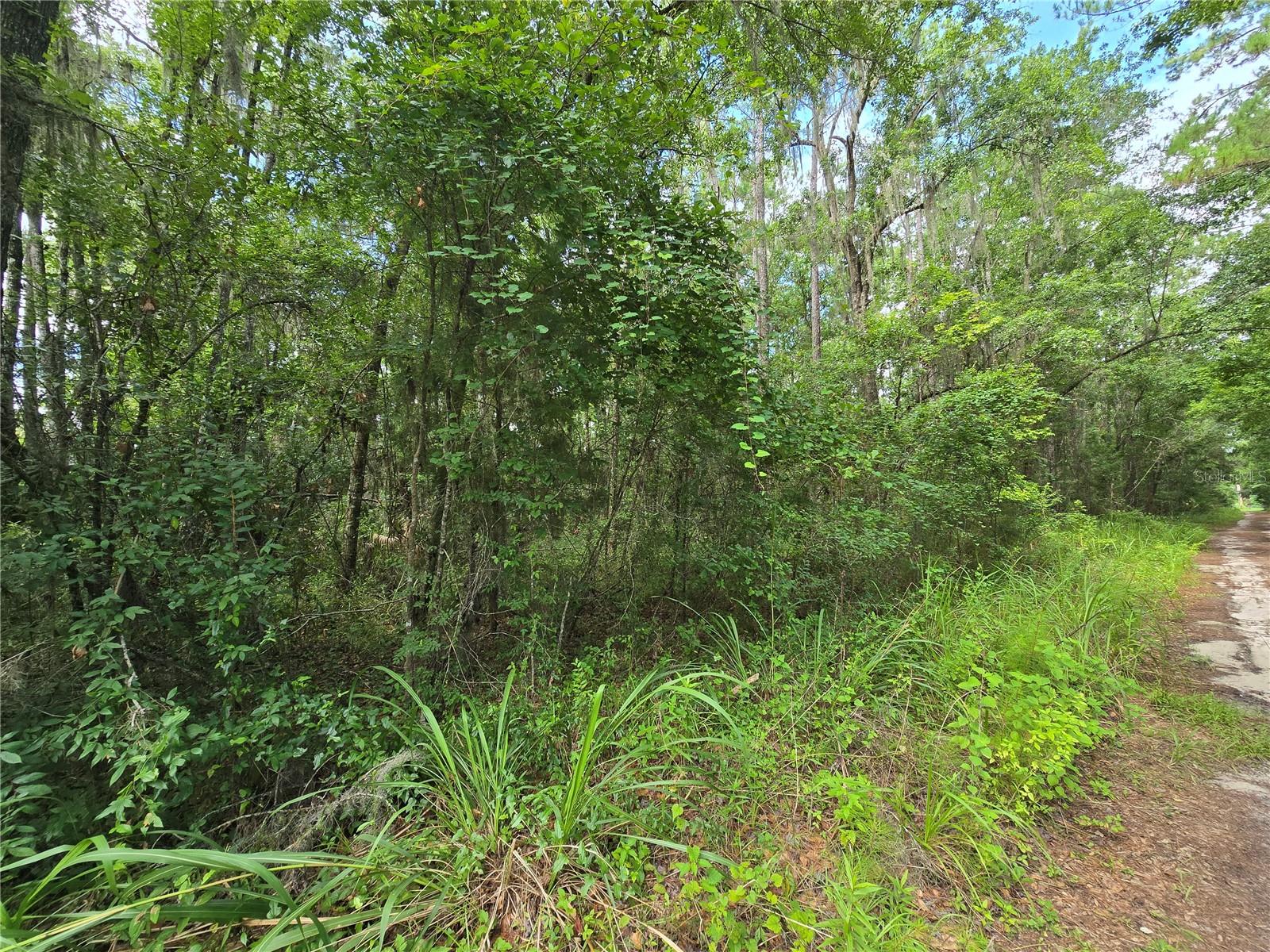 Image 6 of 9 For  Hwy 329  