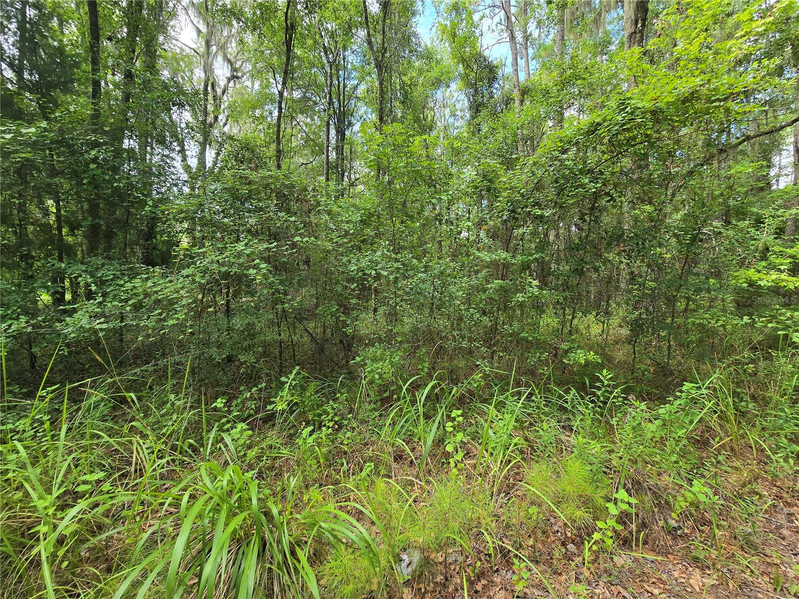 Image 7 of 9 For  Hwy 329  