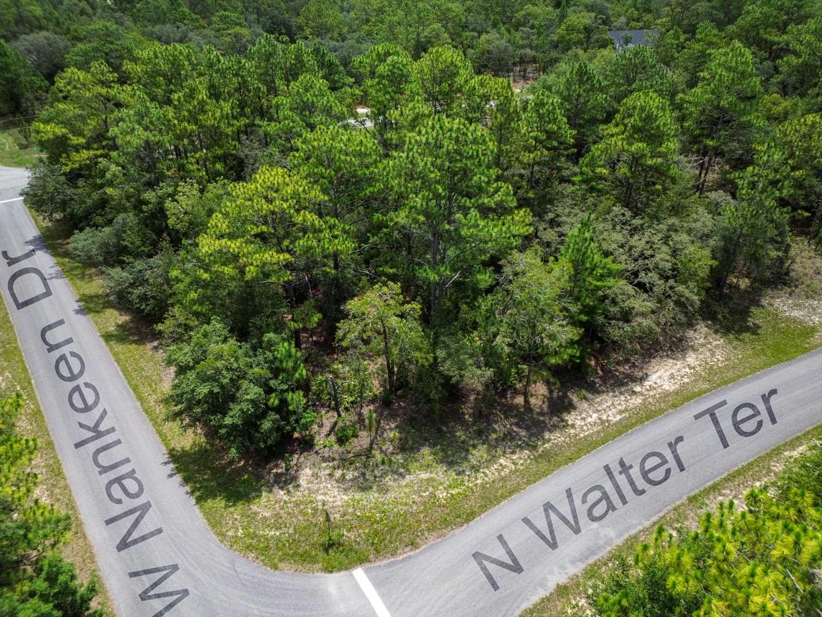 Details for 6549 Walter Terrace, DUNNELLON, FL 34434