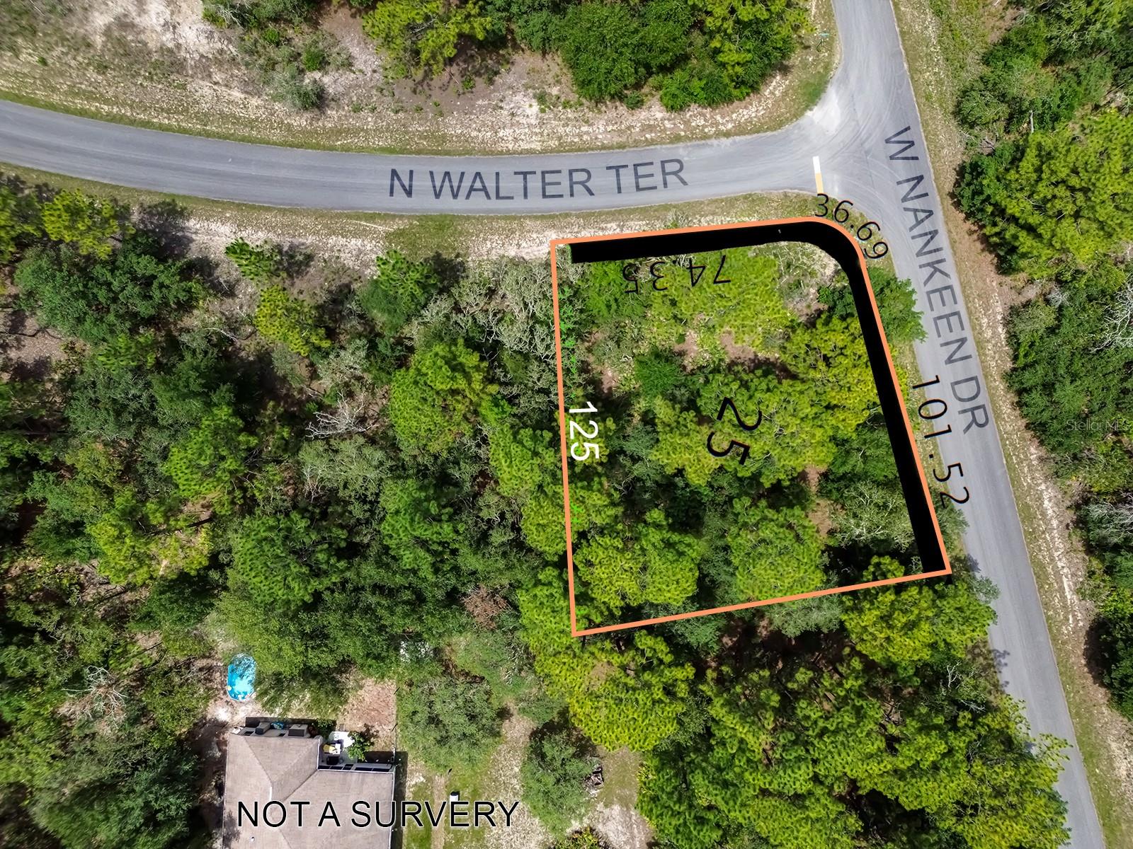 Image 4 of 12 For 6549 Walter Terrace