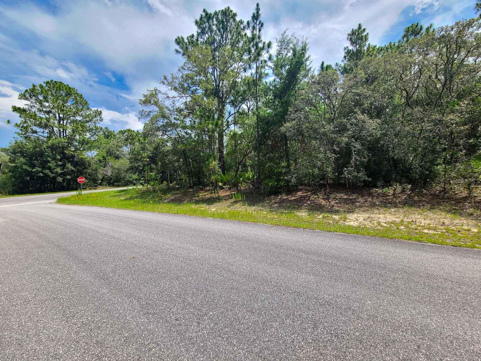 Image 8 of 12 For 6549 Walter Terrace