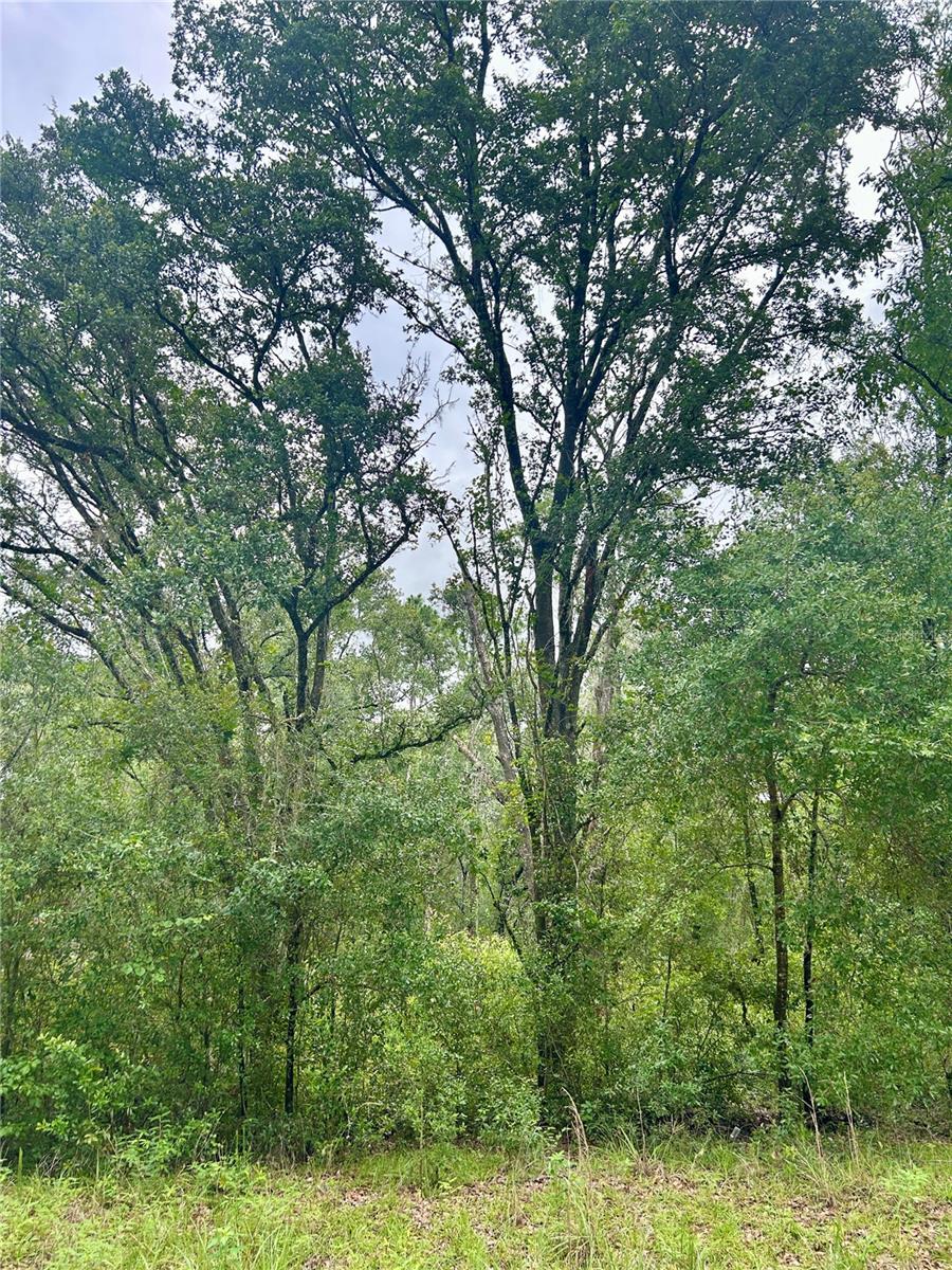 Details for 714 Longwood Avenue, INVERNESS, FL 34453