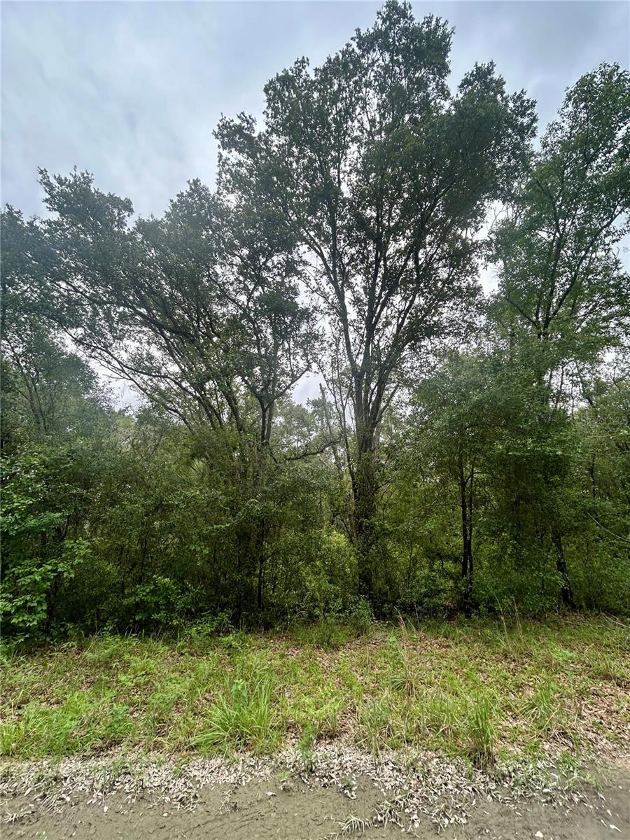 Listing photo id 8 for 714 Longwood Avenue