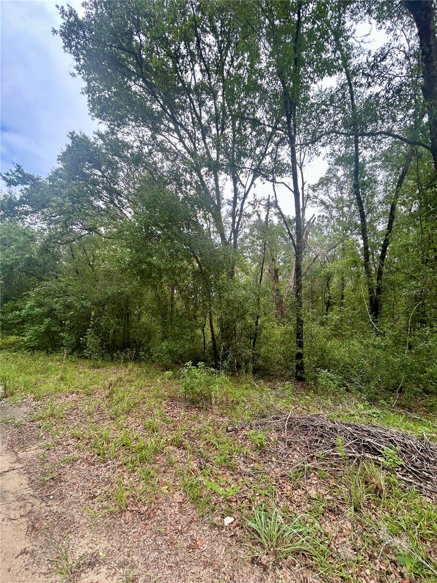 Listing photo id 10 for 714 Longwood Avenue