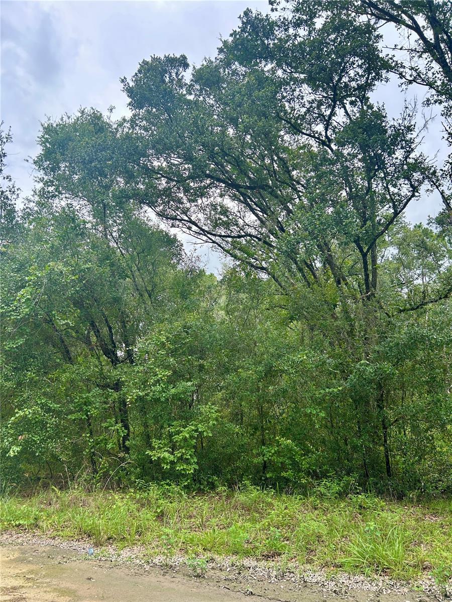 Listing photo id 0 for 714 Longwood Avenue