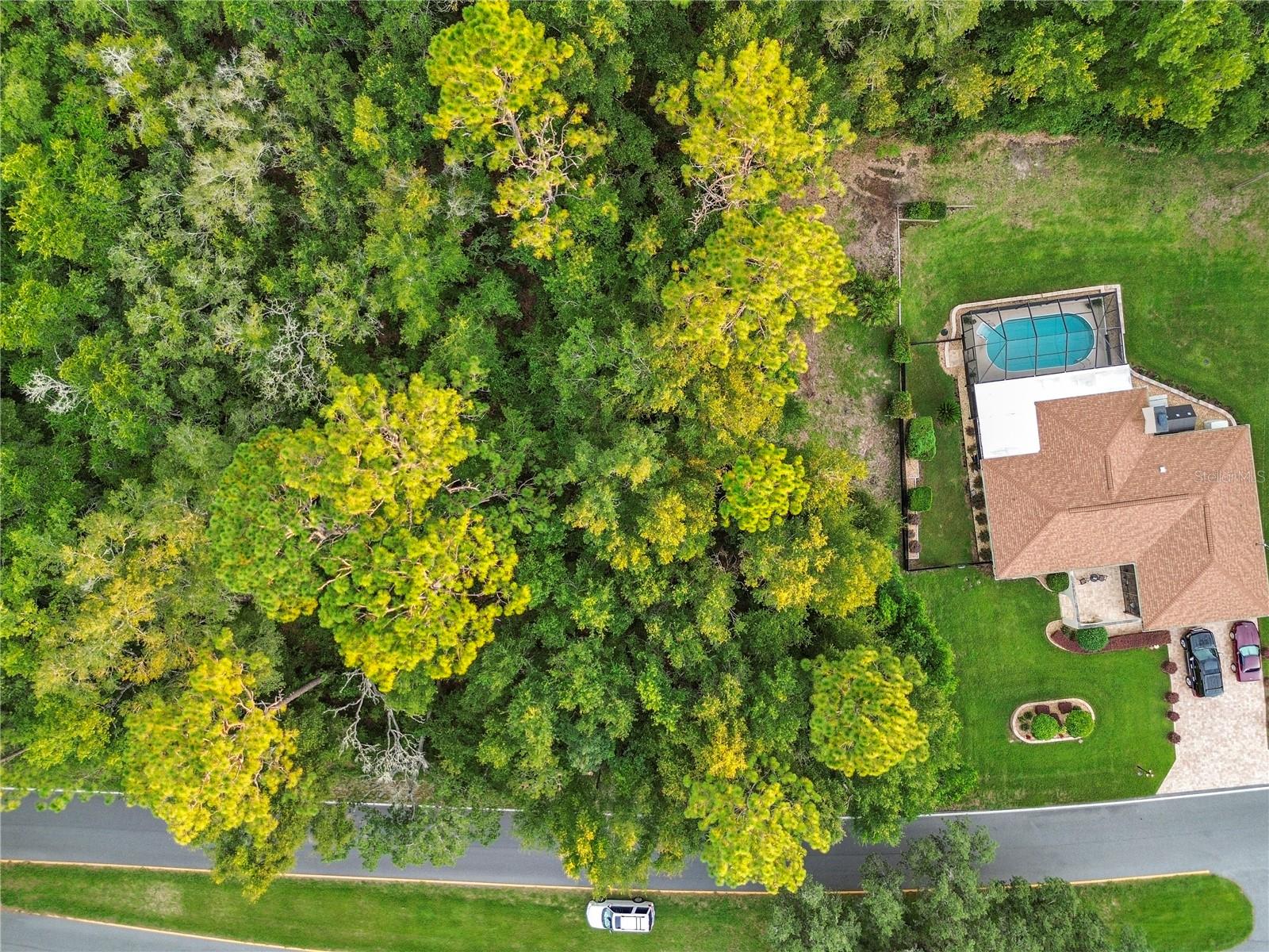 Listing photo id 3 for 1974 Country Club Boulevard