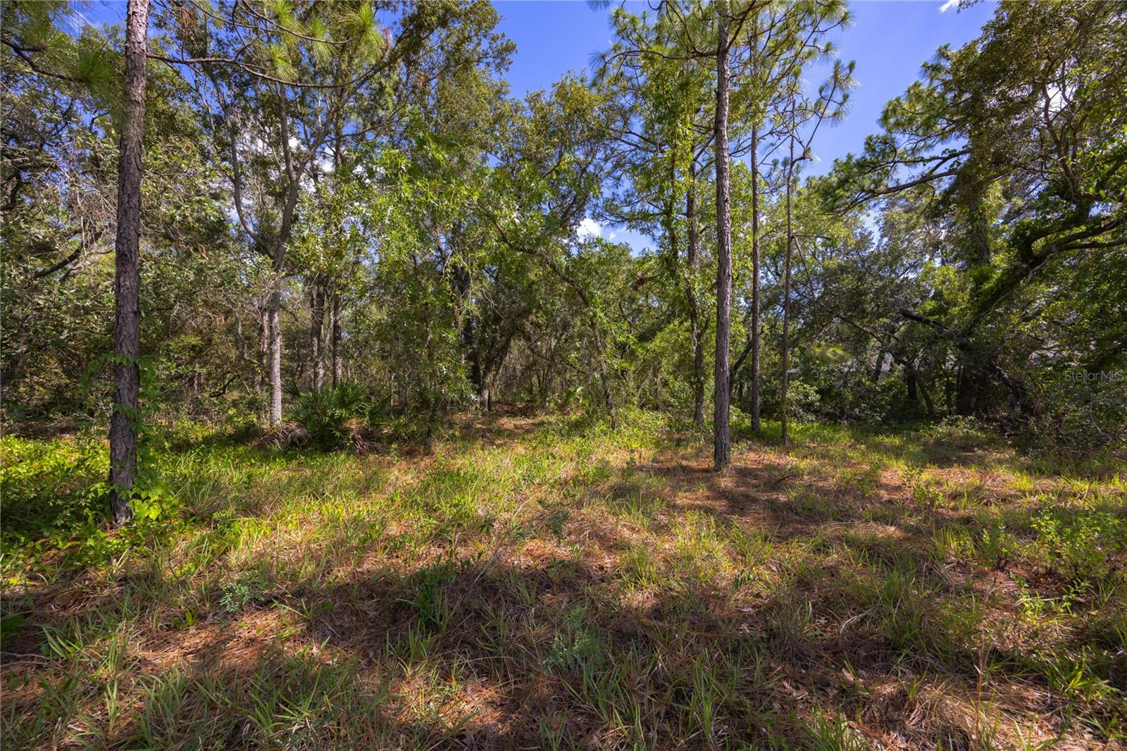Image 9 of 18 For 206 Linder Drive