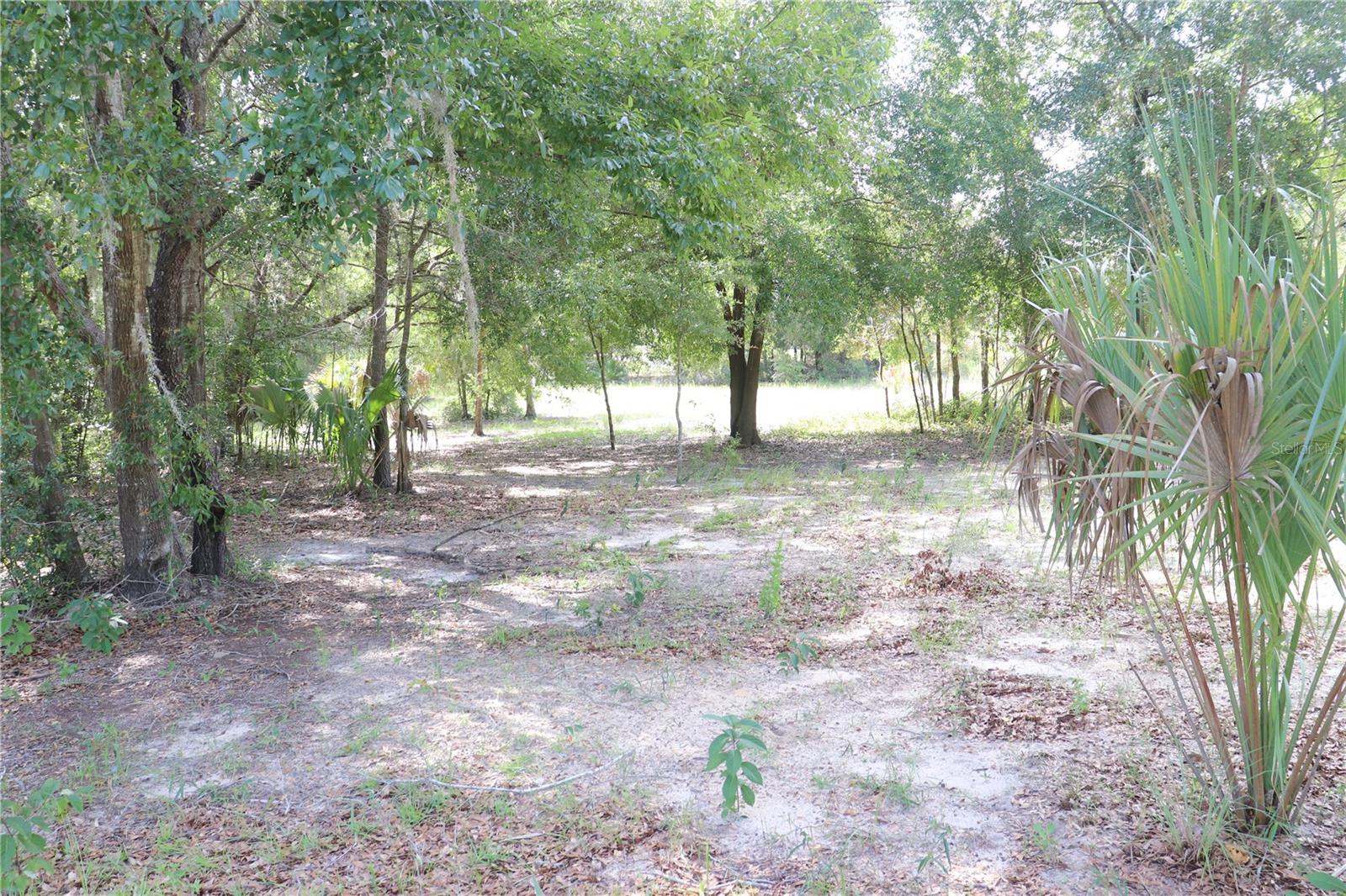 Details for 11924 Belluzzi Terrace, DUNNELLON, FL 34433
