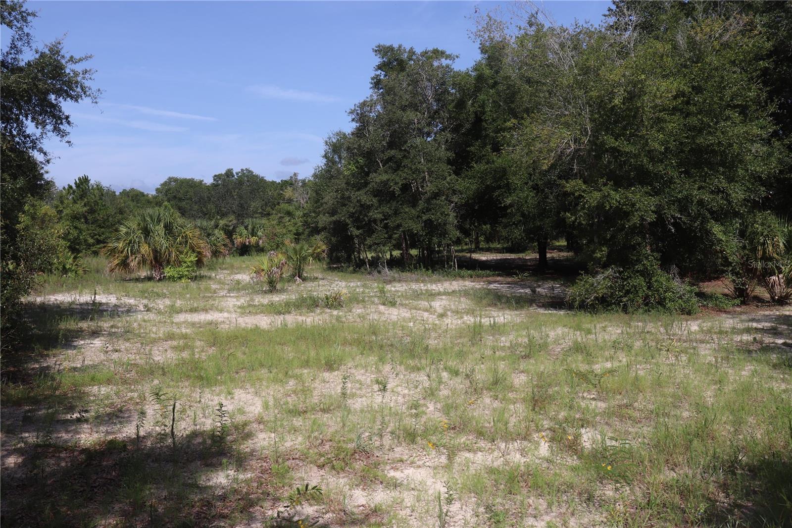 Listing photo id 9 for 11924 Belluzzi Terrace