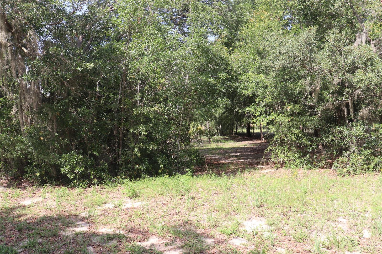 Listing photo id 10 for 11924 Belluzzi Terrace