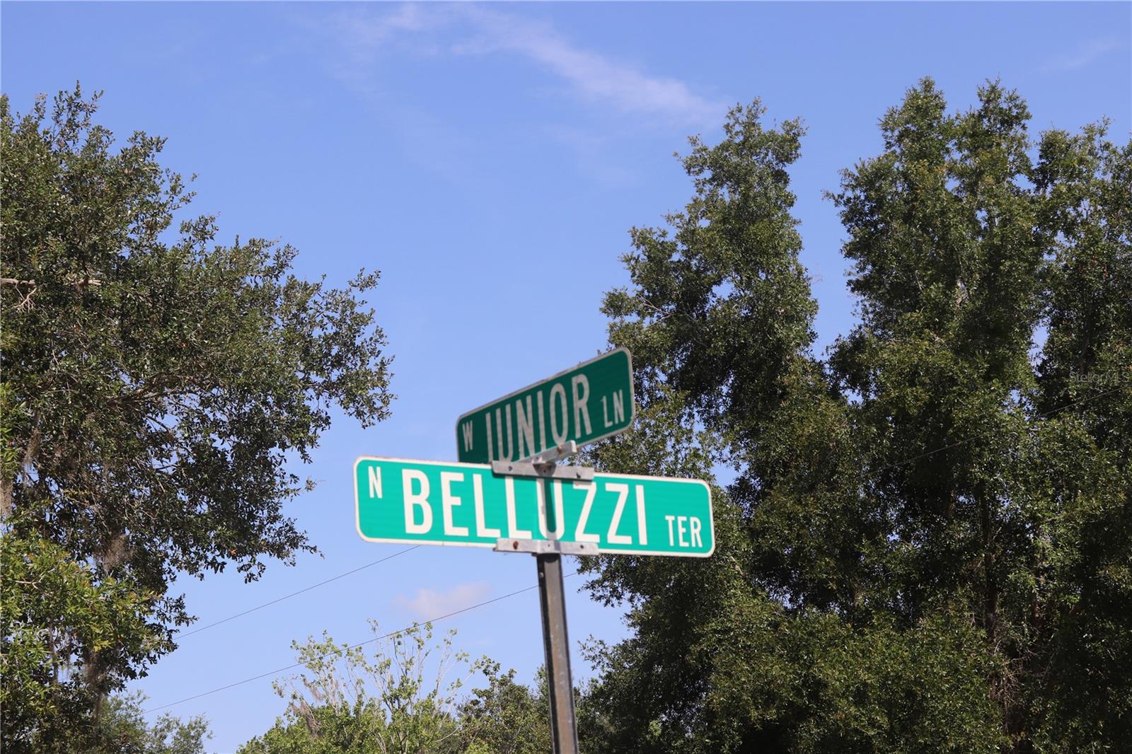 Listing photo id 11 for 11924 Belluzzi Terrace